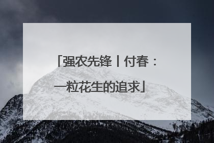 强农先锋丨付春：一粒花生的追求